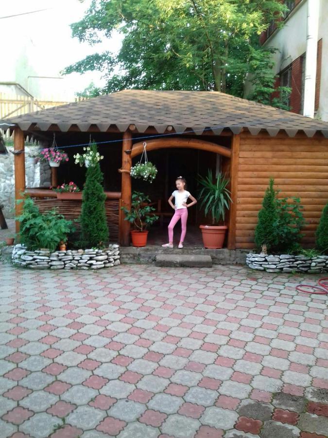 Над Вичов Volovets Ngoại thất bức ảnh